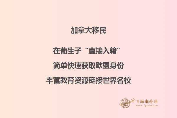 加拿大移民政策再傳利好，或新增“市提名”計劃！