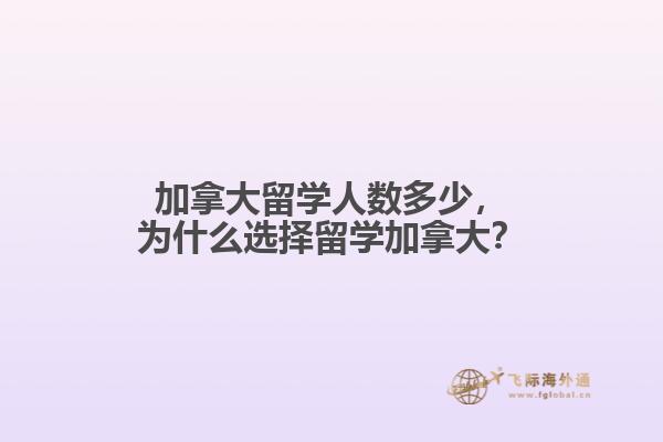 加拿大留學(xué)人數(shù)多少，為什么選擇留學(xué)加拿大？
