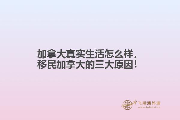 加拿大真實生活怎么樣