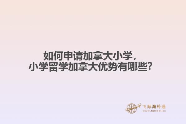 如何申請(qǐng)加拿大小學(xué)，小學(xué)留學(xué)加拿大優(yōu)勢有哪些？