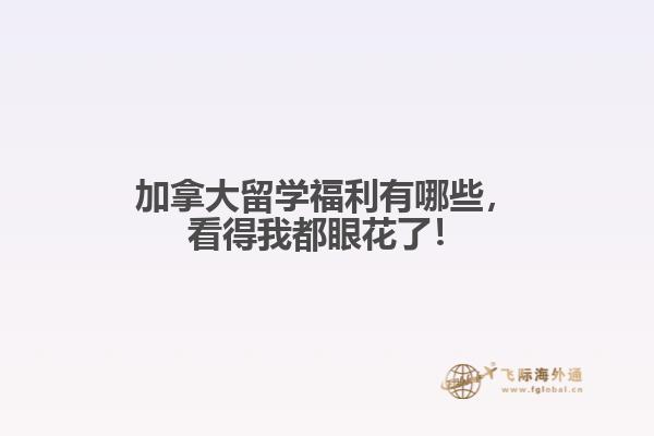 加拿大留學(xué)福利有哪些，看得我都眼花了！? 