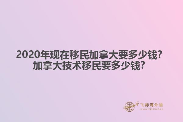 樹(shù)邊的自行車