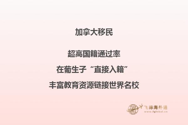 加拿大簽證網(wǎng)上申請(qǐng)進(jìn)度查詢(xún)申請(qǐng)?zhí)柺鞘裁? width=