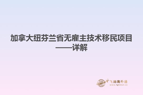 加拿大紐芬蘭省無雇主技術(shù)移民項目——詳解