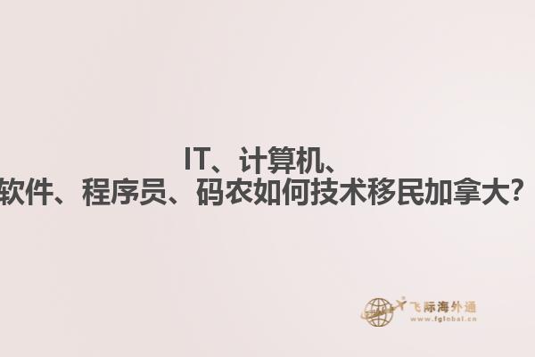 IT、計算機、軟件、程序員、碼農(nóng)如何技術(shù)移民加拿大？