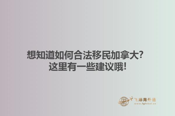 想知道如何合法移民加拿大？這里有一些建議哦!