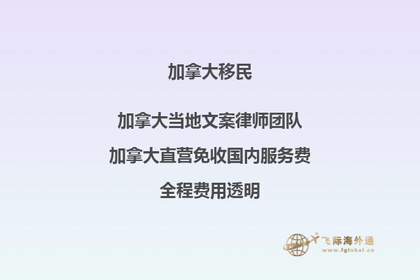 疫情對加拿大移民有何影響？如何應(yīng)對？