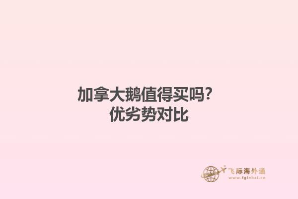 加拿大鵝值得買嗎？優(yōu)劣勢對(duì)比