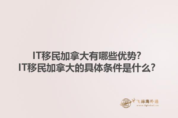 IT移民加拿大有哪些優(yōu)勢？IT移民加拿大的具體條件是什么？1.jpg