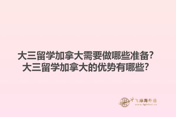 大三留學(xué)加拿大需要做哪些準(zhǔn)備？大三留學(xué)加拿大的優(yōu)勢(shì)有哪些？