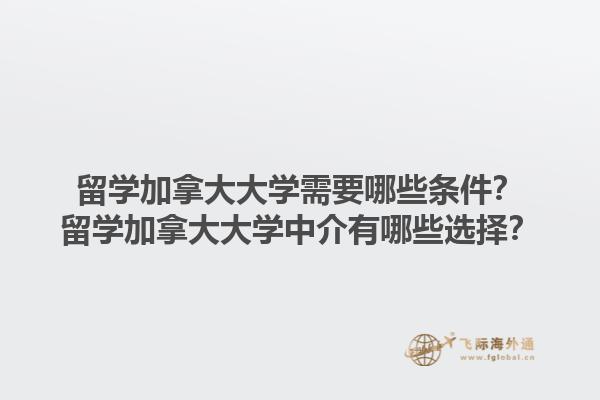 留學(xué)加拿大大學(xué)需要哪些條件？留學(xué)加拿大大學(xué)中介有哪些選擇？