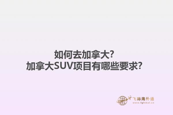 如何去加拿大？加拿大SUV項目有哪些要求？1.jpg
