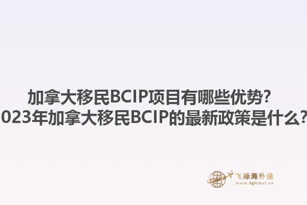 加拿大移民BCIP項(xiàng)目有哪些優(yōu)勢(shì)？2023年加拿大移民BCIP的最新政策是什么？1.jpg