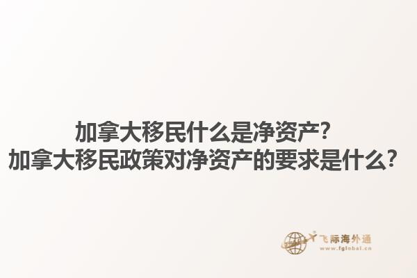 加拿大移民什么是凈資產(chǎn)？加拿大移民政策對凈資產(chǎn)的要求是什么？1.jpg