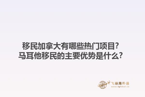 移民加拿大有哪些熱門項(xiàng)目？馬耳他移民的主要優(yōu)勢是什么？
