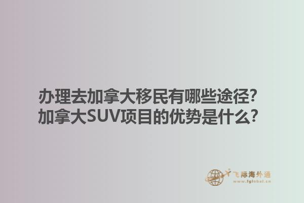 辦理去加拿大移民有哪些途徑？加拿大SUV項目的優(yōu)勢是什么？