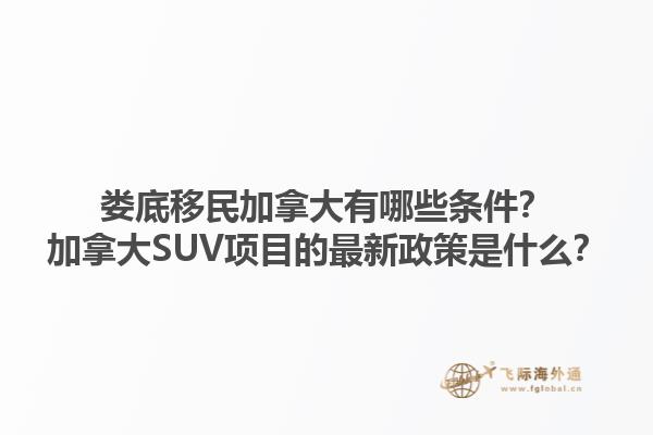 婁底移民加拿大有哪些條件？加拿大SUV項(xiàng)目的最新政策是什么？