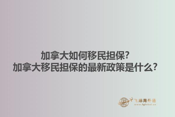 加拿大如何移民擔(dān)保？加拿大移民擔(dān)保的最新政策是什么？