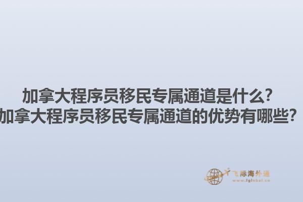加拿大程序員移民專屬通道是什么？加拿大程序員移民專屬通道的優(yōu)勢有哪些？1.jpg