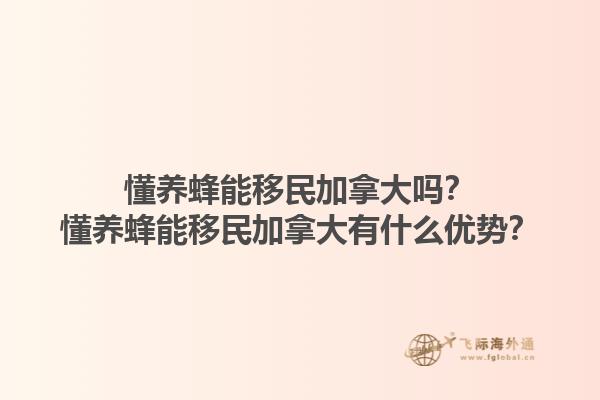 懂養(yǎng)蜂能移民加拿大嗎？懂養(yǎng)蜂能移民加拿大有什么優(yōu)勢？