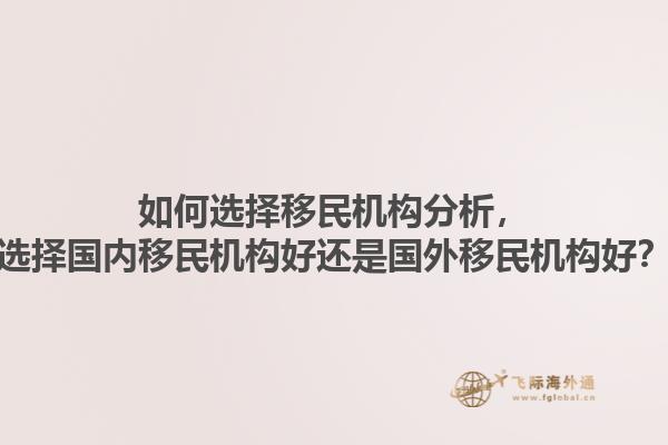 如何選擇移民機(jī)構(gòu)分析，選擇國內(nèi)移民機(jī)構(gòu)好還是國外移民機(jī)構(gòu)好？
