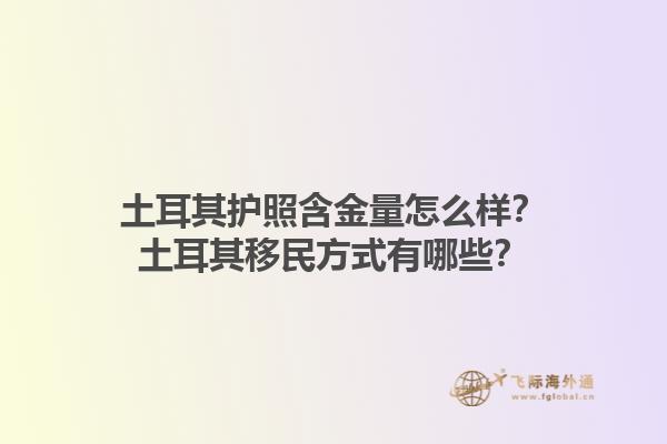 土耳其護(hù)照含金量怎么樣？土耳其移民方式有哪些？