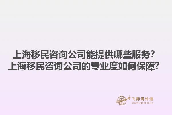 上海移民咨詢公司能提供哪些服務(wù)？上海移民咨詢公司的專業(yè)度如何保障？