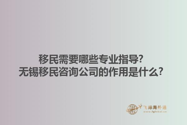移民需要哪些專業(yè)指導？無錫移民咨詢公司的作用是什么？1.jpg