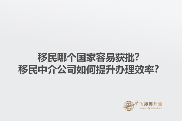 移民哪個(gè)國家容易獲批？移民中介公司如何提升辦理效率？1.jpg