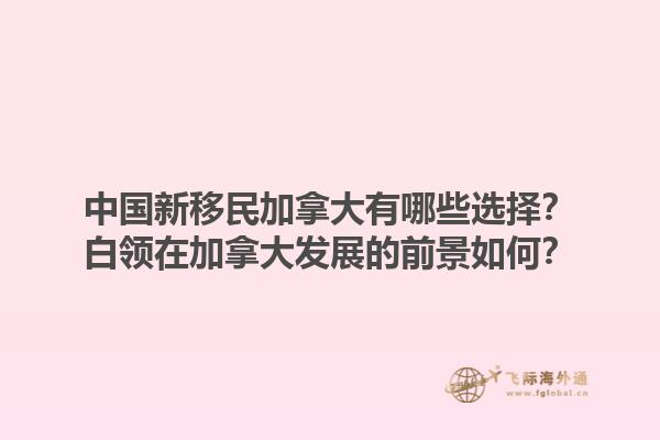 中國(guó)新移民加拿大有哪些選擇？白領(lǐng)在加拿大發(fā)展的前景如何？1.jpg