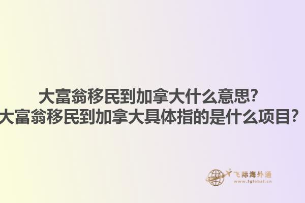 大富翁移民到加拿大什么意思？大富翁移民到加拿大具體指的是什么項(xiàng)目？1.jpg