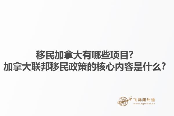 移民加拿大有哪些項(xiàng)目？加拿大聯(lián)邦移民政策的核心內(nèi)容是什么？1.jpg