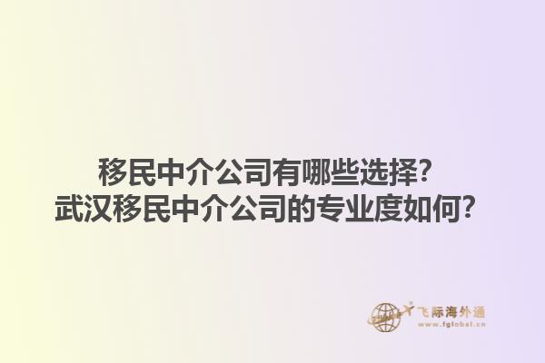 移民中介公司有哪些選擇？武漢移民中介公司的專業(yè)度如何？1.jpg