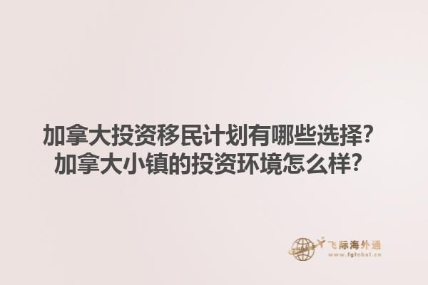 加拿大投資移民計(jì)劃有哪些選擇？加拿大小鎮(zhèn)的投資環(huán)境怎么樣？1.jpg