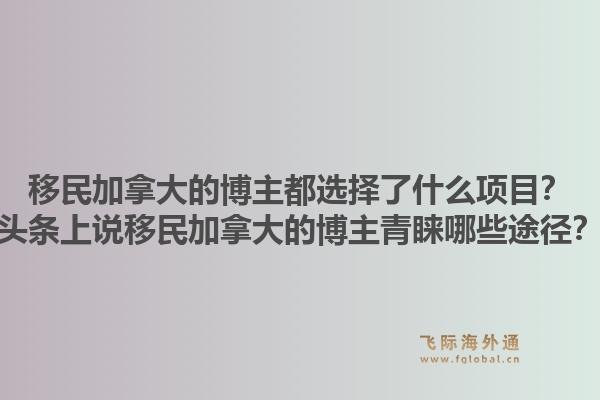 移民加拿大的博主都選擇了什么項(xiàng)目？頭條上說移民加拿大的博主青睞哪些途徑？1.jpg