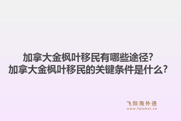 加拿大金楓葉移民有哪些途徑？加拿大金楓葉移民的關鍵條件是什么？1.jpg