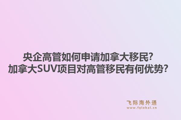 央企高管如何申請(qǐng)加拿大移民？加拿大SUV項(xiàng)目對(duì)高管移民有何優(yōu)勢(shì)？1.jpg