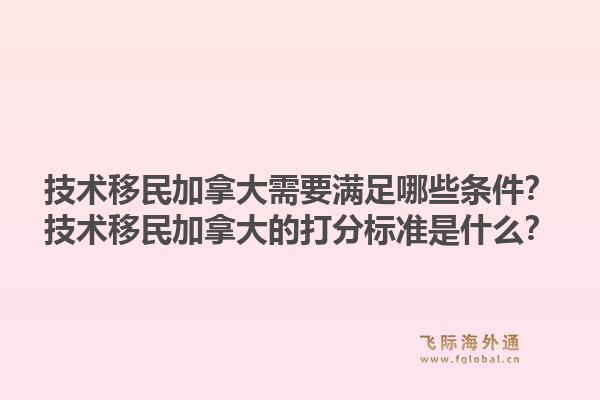 技術(shù)移民加拿大需要滿足哪些條件？技術(shù)移民加拿大的打分標準是什么？1.jpg