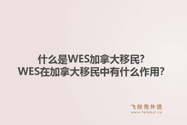 什么是WES加拿大移民？WES在加拿大移民中有什么作用？1.jpg