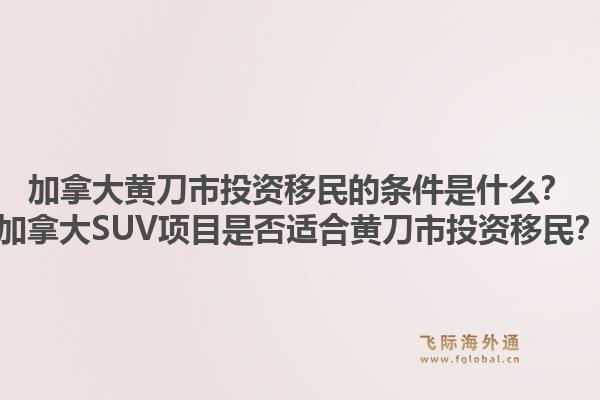 加拿大黃刀市投資移民的條件是什么？加拿大SUV項目是否適合黃刀市投資移民？1.jpg