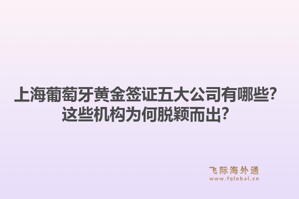 上海葡萄牙黃金簽證五大公司有哪些？這些機構(gòu)為何脫穎而出？
