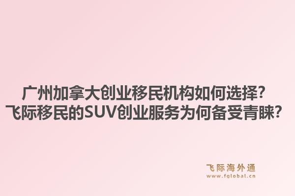 廣州加拿大創(chuàng)業(yè)移民機構(gòu)如何選擇？飛際移民的SUV創(chuàng)業(yè)服務為何備受青睞？1.jpg