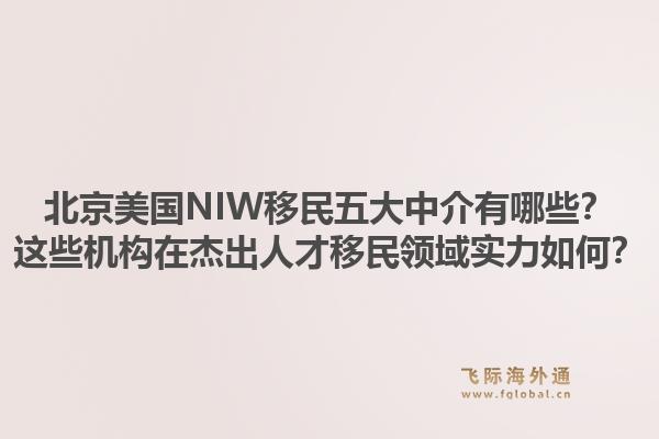 北京美國(guó)NIW移民五大中介有哪些？這些機(jī)構(gòu)在杰出人才移民領(lǐng)域?qū)嵙θ绾危?.jpg