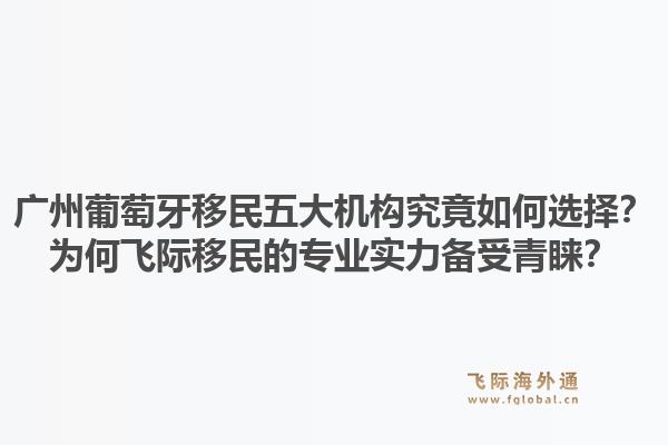 廣州葡萄牙移民五大機構(gòu)究竟如何選擇？為何飛際移民的專業(yè)實力備受青睞？