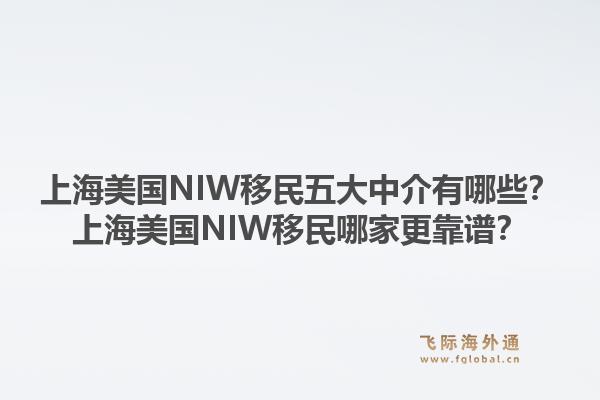 上海美國NIW移民五大中介有哪些？上海美國NIW移民哪家更靠譜？1.jpg