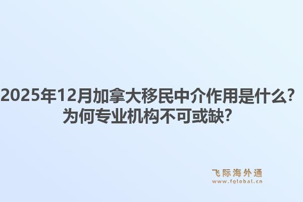 2025年12月加拿大移民中介作用是什么？為何專業(yè)機(jī)構(gòu)不可或缺？1.jpg