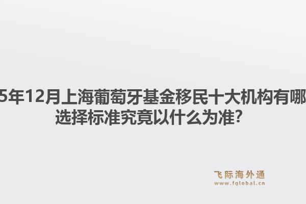 2025年12月上海葡萄牙基金移民十大機(jī)構(gòu)有哪些？選擇標(biāo)準(zhǔn)究竟以什么為準(zhǔn)？