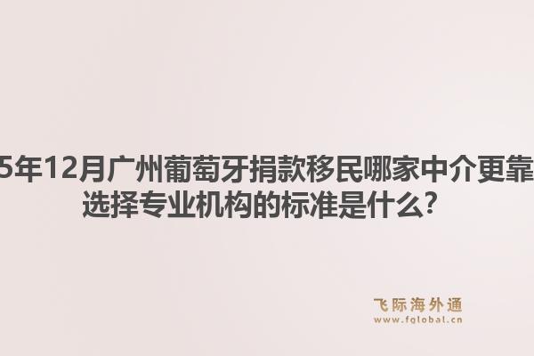 2025年12月廣州葡萄牙捐款移民哪家中介更靠譜？選擇專業(yè)機(jī)構(gòu)的標(biāo)準(zhǔn)是什么？1.jpg