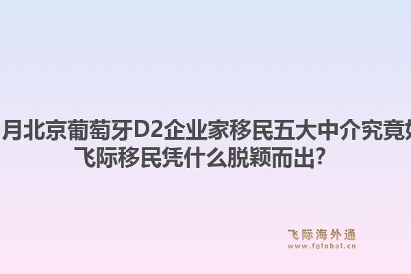 2025年12月北京葡萄牙D2企業(yè)家移民五大中介究竟如何選擇？飛際移民憑什么脫穎而出？1.jpg