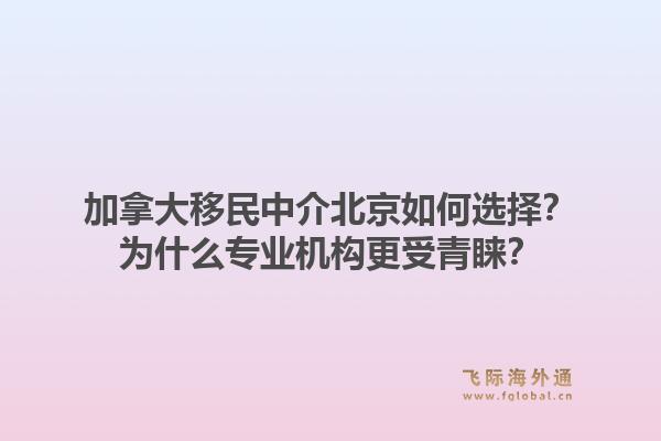 加拿大移民中介北京如何選擇？為什么專業(yè)機構(gòu)更受青睞？